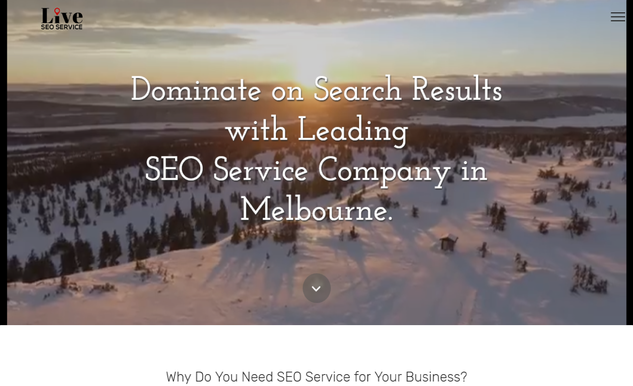 Live SEO Service